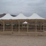 Membran Çardaq Modelləri