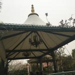 Membran Çardaq Modelləri