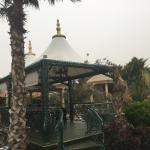 Membran Çardaq Modelləri