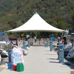 Membran konusvari asma gərmə modelləri